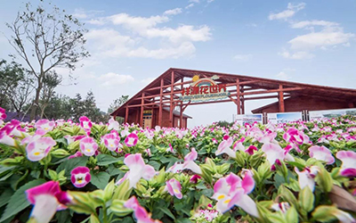 必发集团(股份)有限公司-官方网站