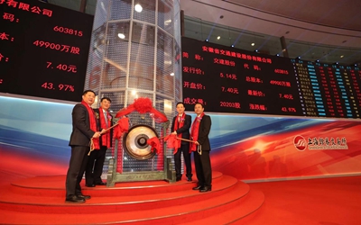 必发集团(股份)有限公司-官方网站