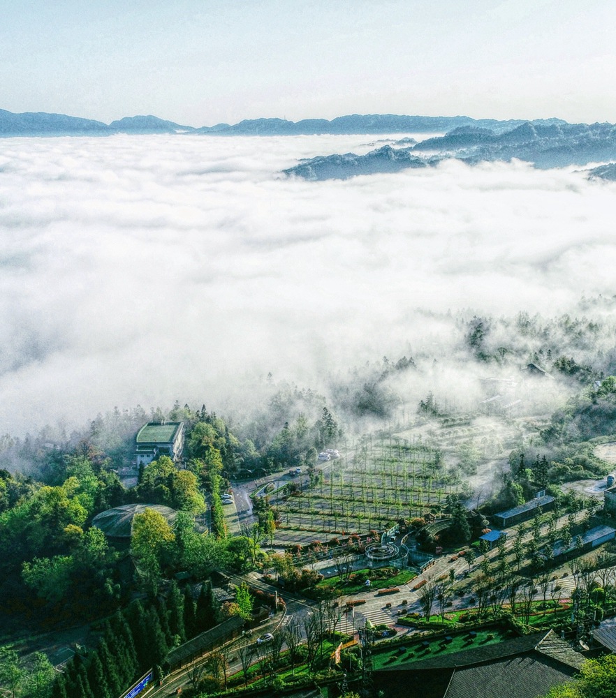 必发集团(股份)有限公司-官方网站