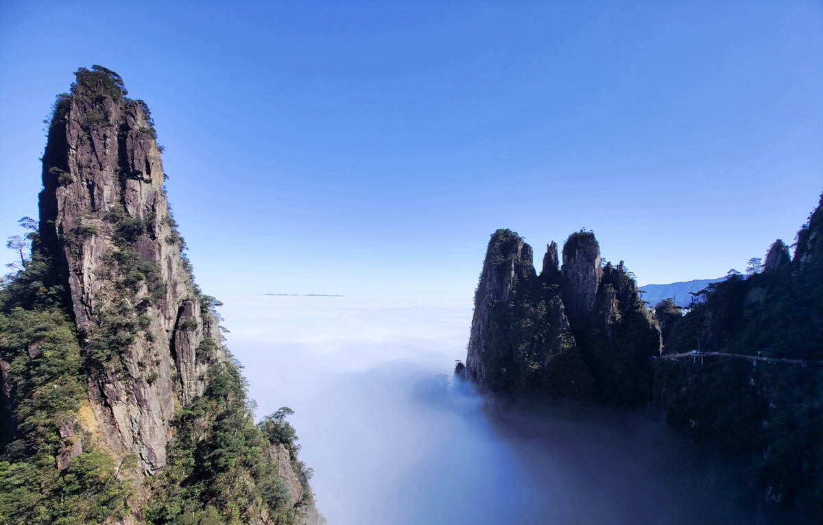 必发集团(股份)有限公司-官方网站