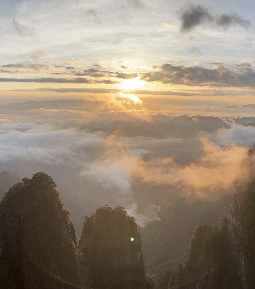 必发集团(股份)有限公司-官方网站